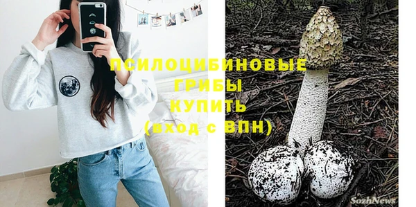 дживик Костерёво