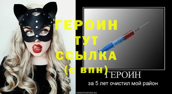 гидра Коряжма