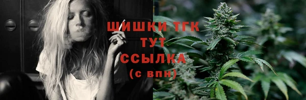 дживик Костерёво
