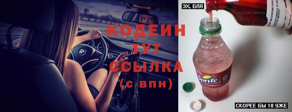 дживик Костерёво