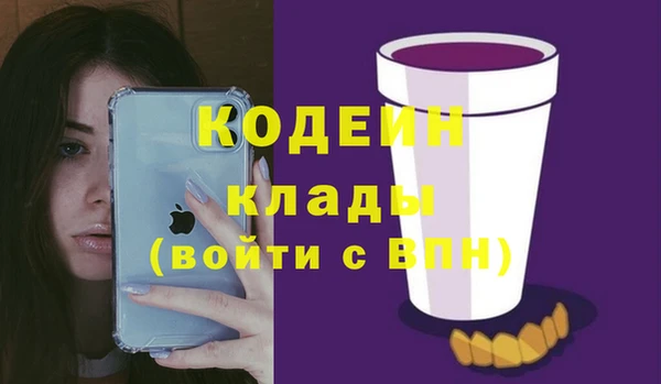 гидра Коряжма