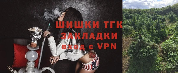 дживик Костерёво