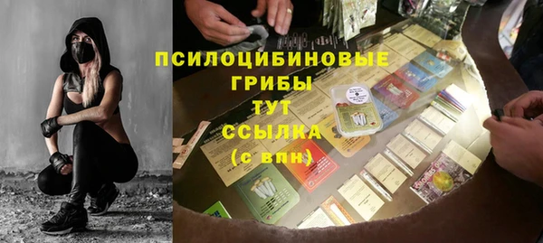 spice Корсаков