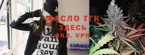 гидра Коряжма
