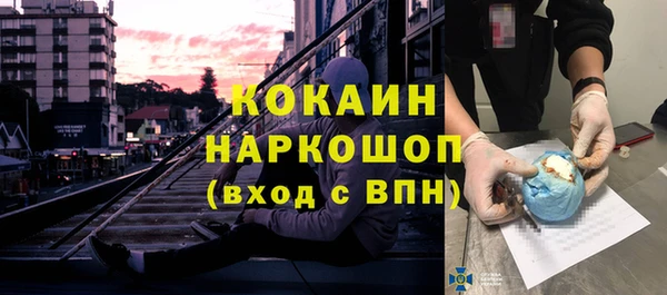 гидра Коряжма