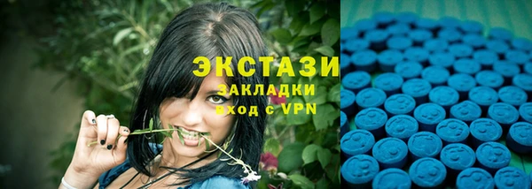 гидра Коряжма